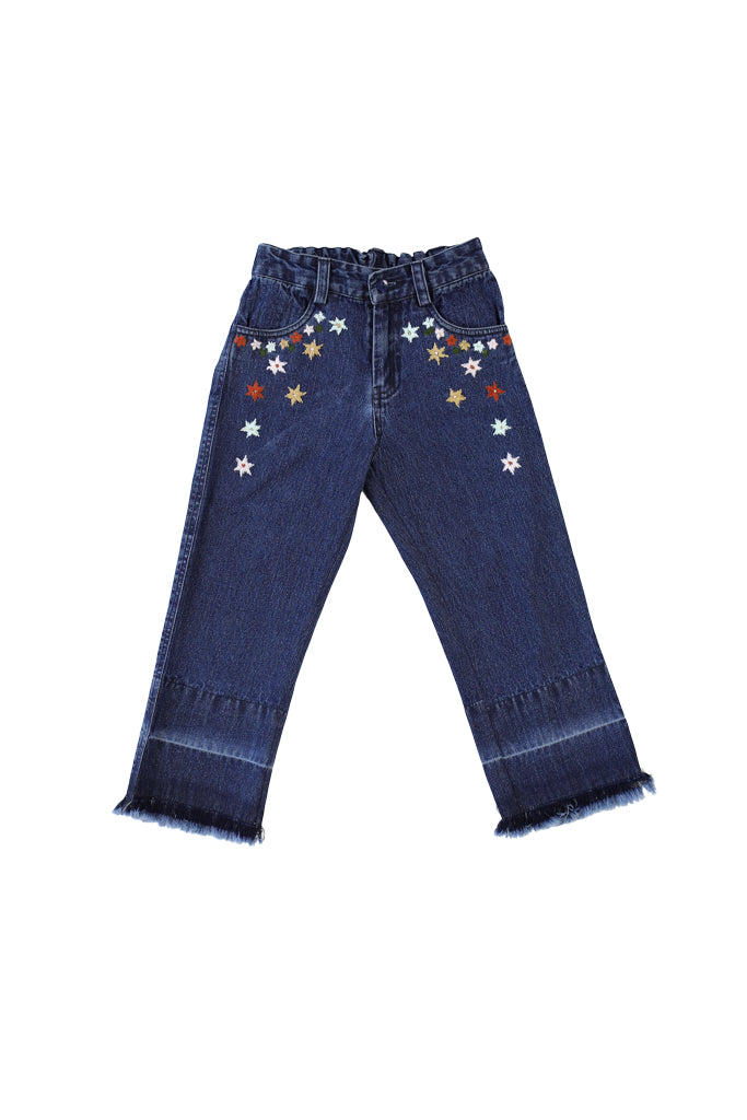 APPOLINA JEANS - MEDIUM DARK